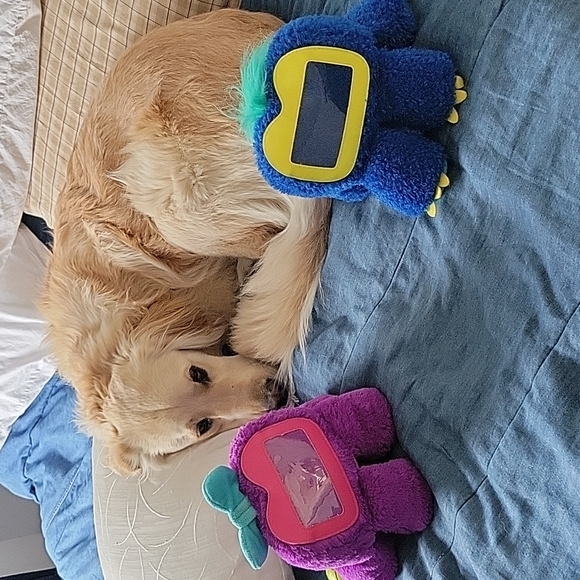 Griffon Fee Woogie purple & Blue plush Iphone samsung picture frame photos toys - Picture 1 of 12